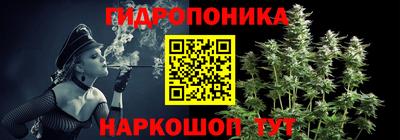 мяу мяу мука Кингисепп
