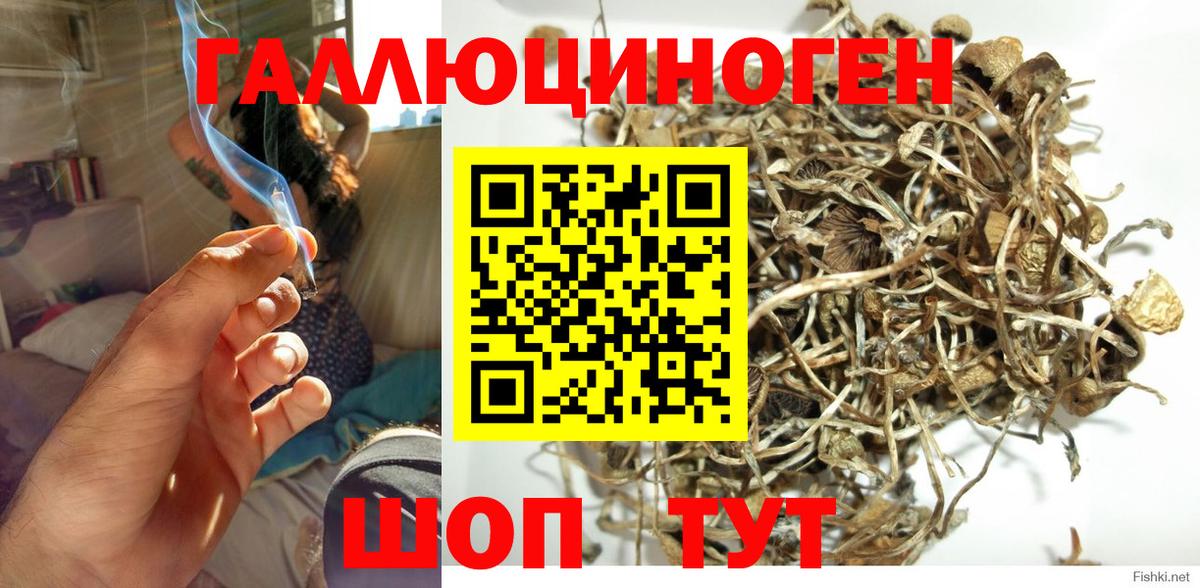 Галлюциногенные грибы мухоморы  Галлюциногенные грибы Psilocybe  Кохма  Вход с VPN 