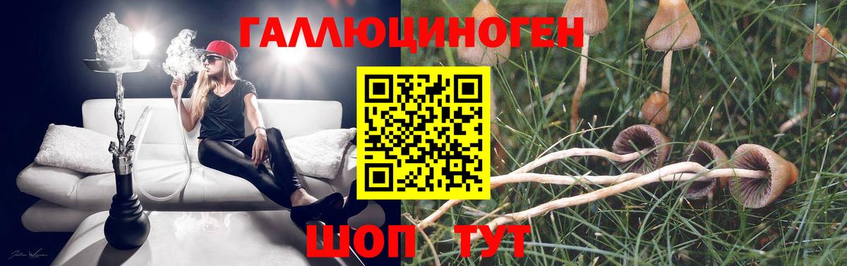 Галлюциногенные грибы мухоморы Кохма